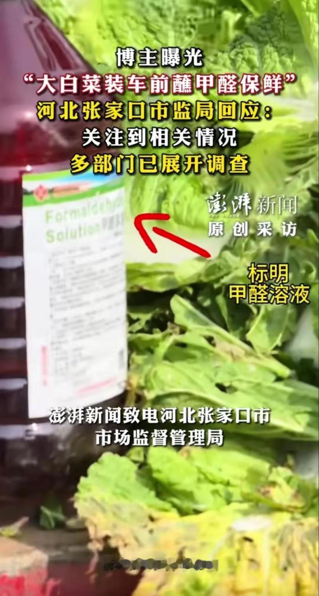 是不法收购商在利益驱动下的违法缺德操作！明知甲醛有毒致癌，为了让自己收购的白菜保