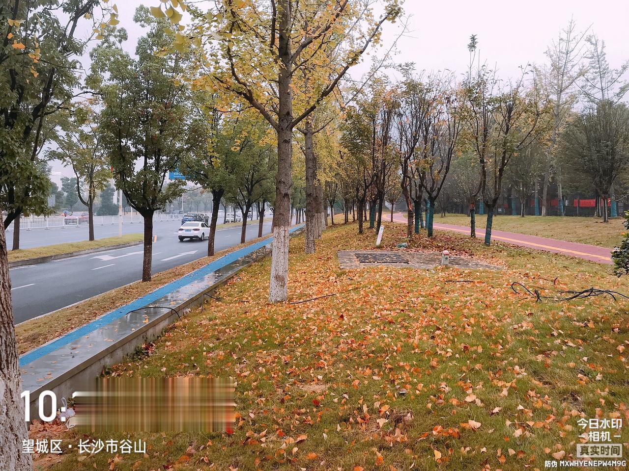 秋风，秋雨，秋果，一壶酒。秋风扫落叶，秋雨凭添凉。
一壶秋果酒，寒冬尽享情。#一
