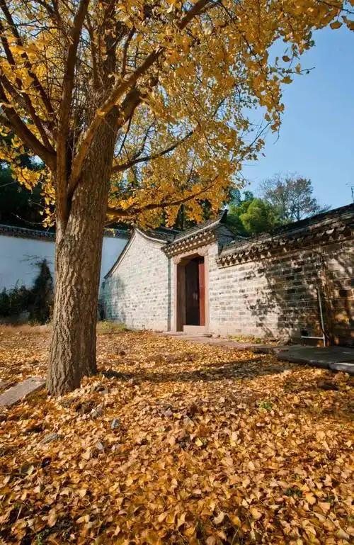 叶落闲庭风伴舞；求下联谢邀
上联：叶落闲庭风伴舞，
下联：灯明夜巷雨和声，
下联