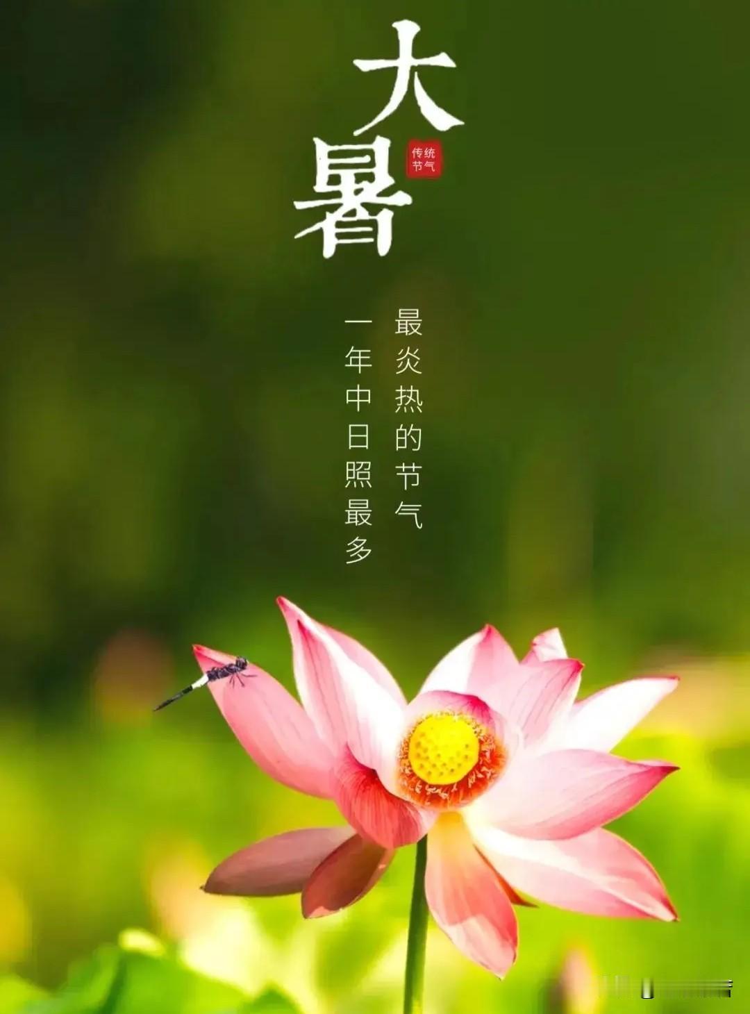 大暑

        ——海之般若

反复烙一张饼
直到散发出诱人的香味
反复