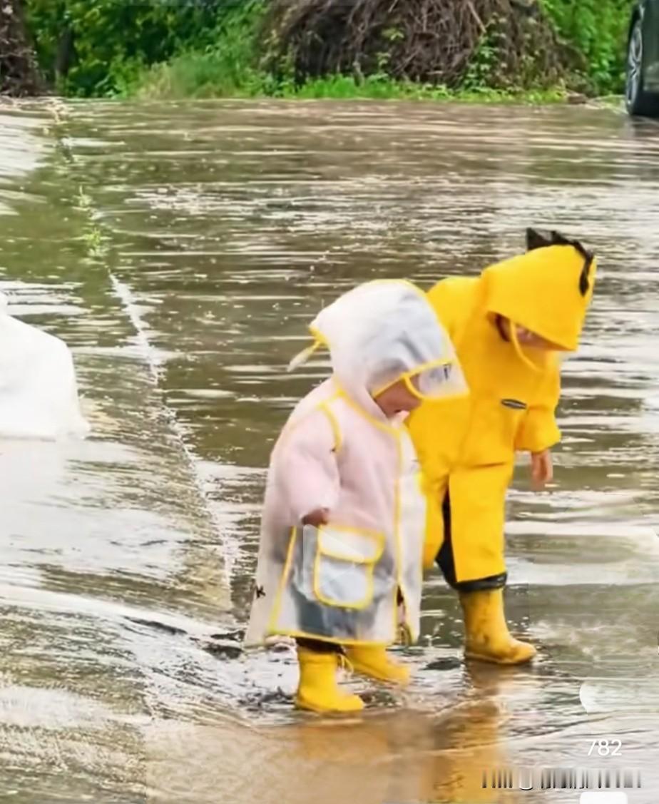重拾童趣

又下雨了，预报本埠三天有雷雨天气，走到街上，蒙蒙的细雨，透过马路两边