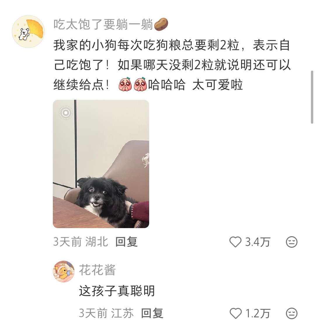 小狗为什么每次都要在水里面泡一粒狗粮呢？ 