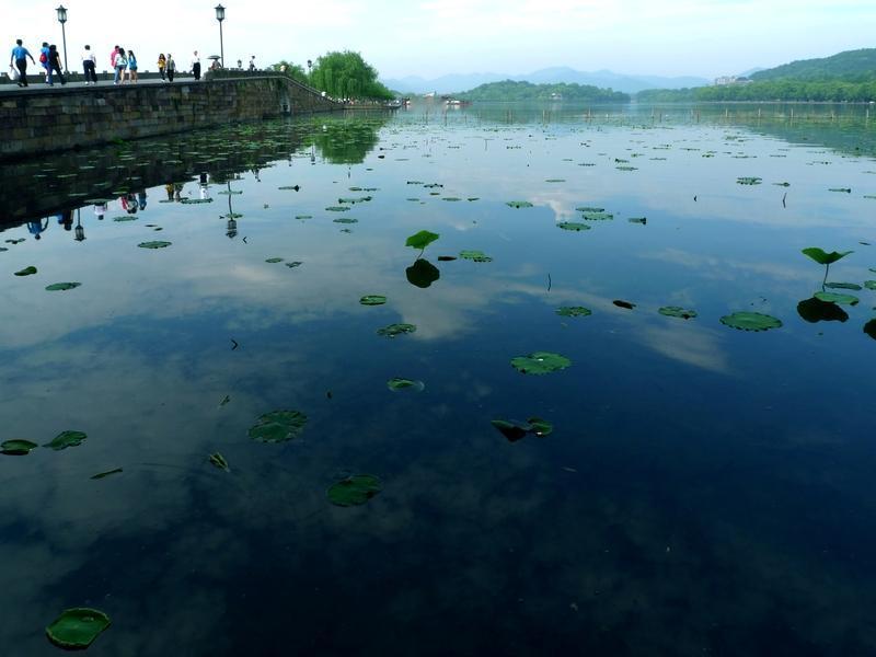 看到“青荷开浅夏”这个上联，一下子就把人带入了一幅清新的初夏画面。有人对出“翠柳