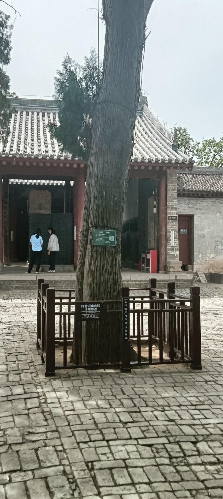 大咖，你这话让我听着，真不是味儿
你说，“如果你老糊涂了，少发言就是对二八的贡献