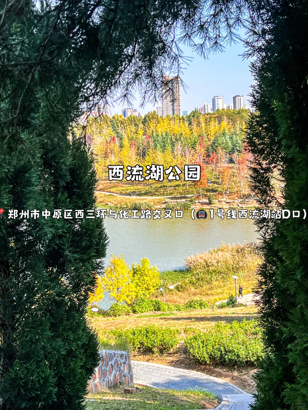 赏秋🍂指南｜郑州6️⃣大秋日宝藏线路！