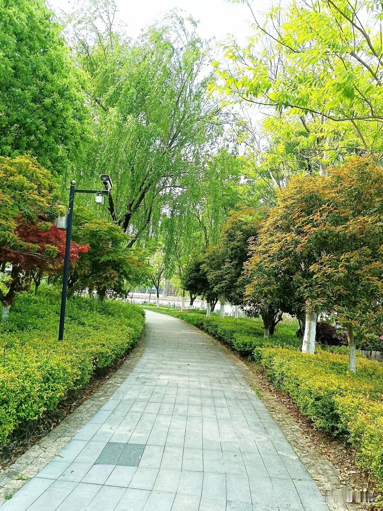 丁香与人生
 
不必开得轰轰烈烈
不必占据整个春天
细碎的花瓣
一簇簇，紧紧挨着