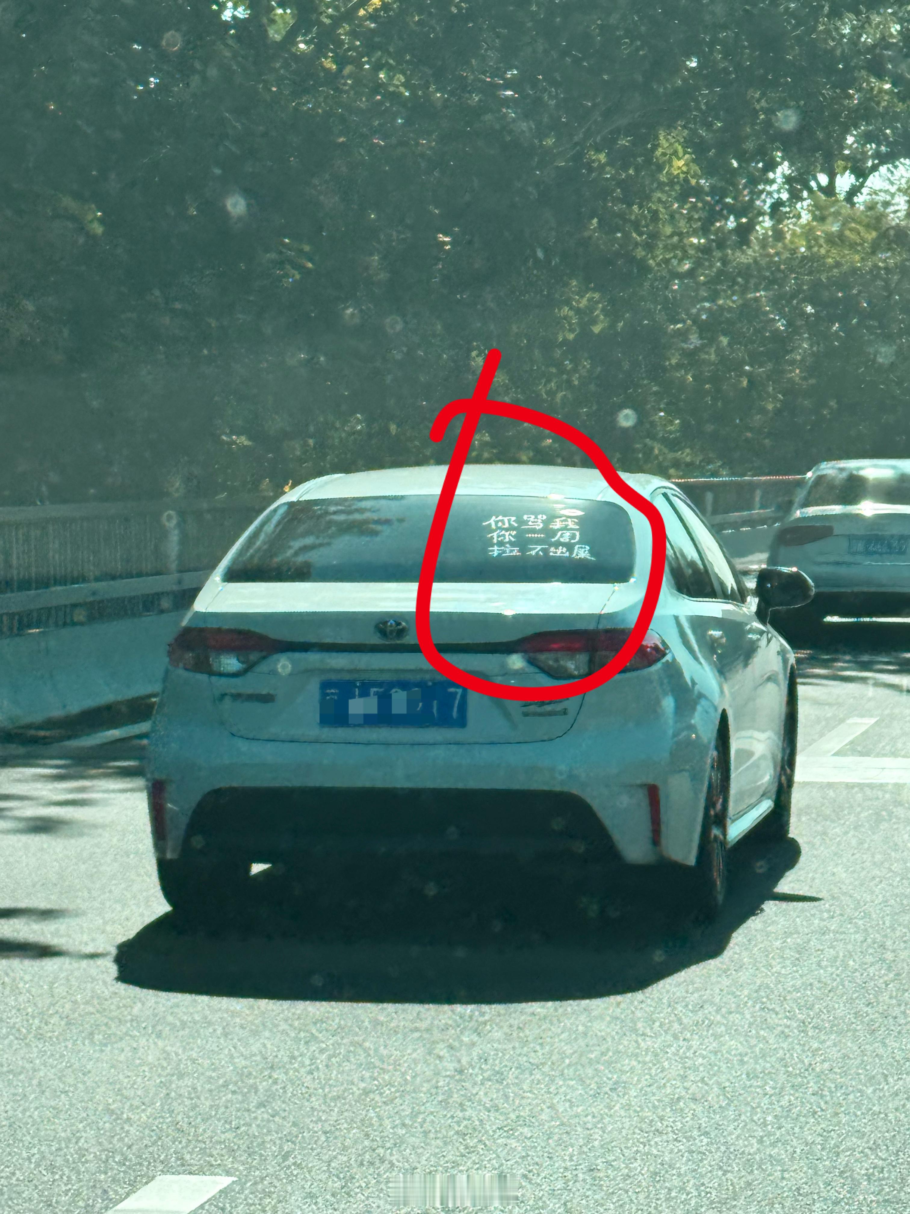 哈哈哈哈哈哈哈这该死的诅咒 ​​​
