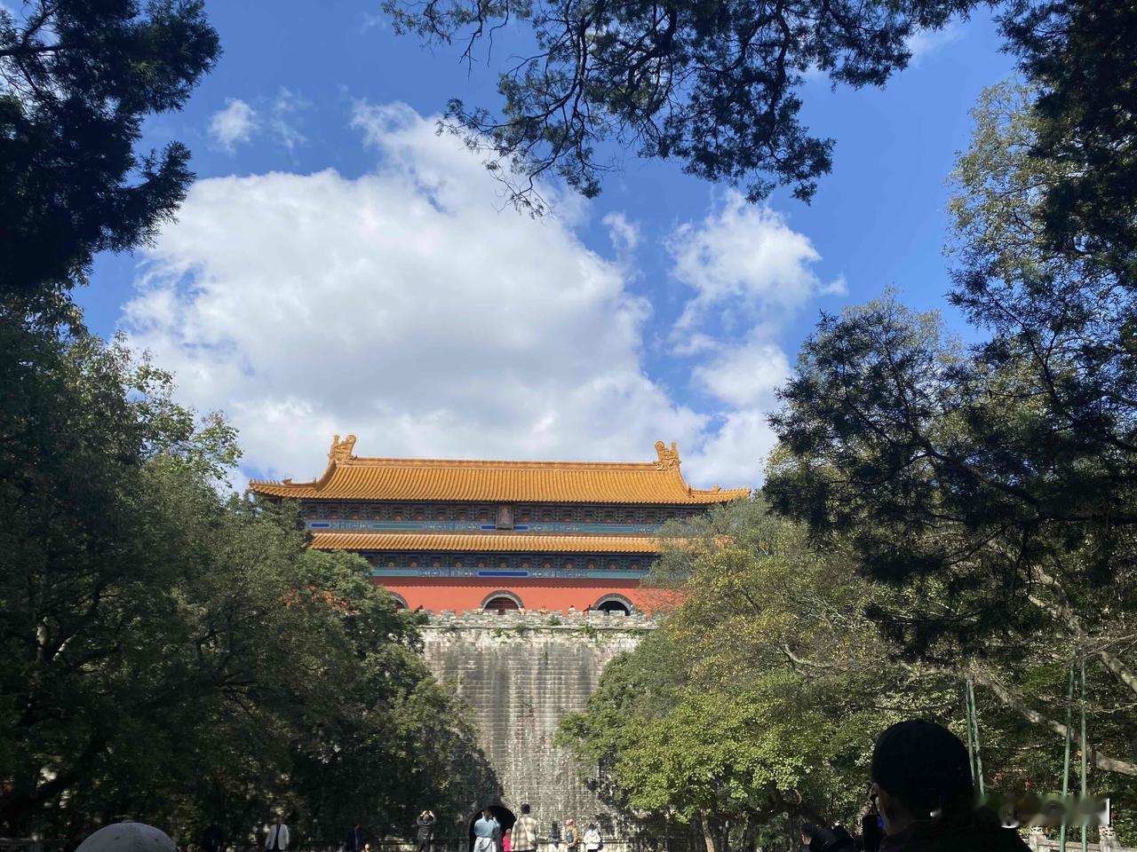 分享我这周有趣的事：
去了明孝陵，发现有好多这种好像“麻花”拧成一股的树。觉得很