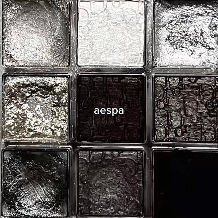 博主做的kpop女团为灵感的彩妆九宫格 每一个细品都好好品….🫧🫘：绝望的猪