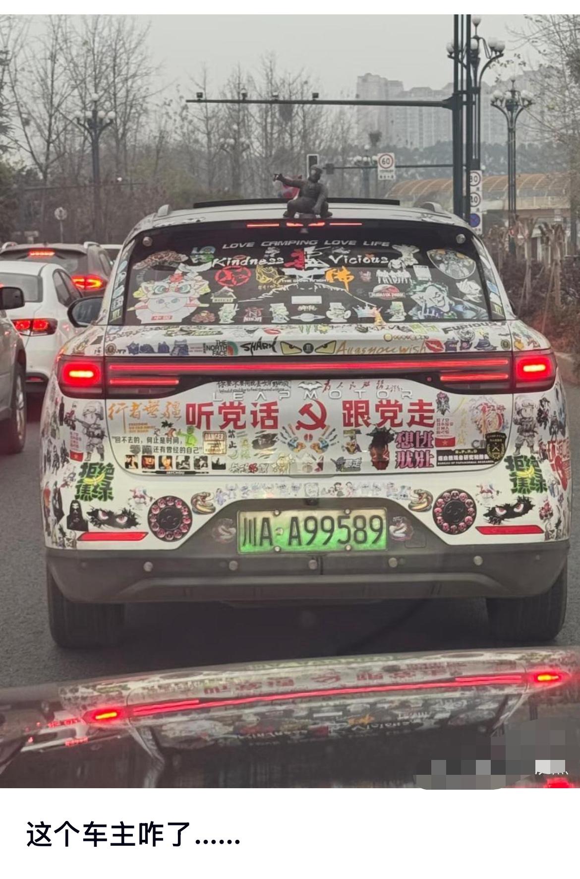 这个车主咋了……