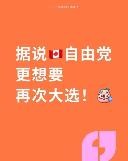 加拿大🇨🇦或将再次大选！🫣🤫😱
据说🇨🇦自由党更想要 再次大选！[