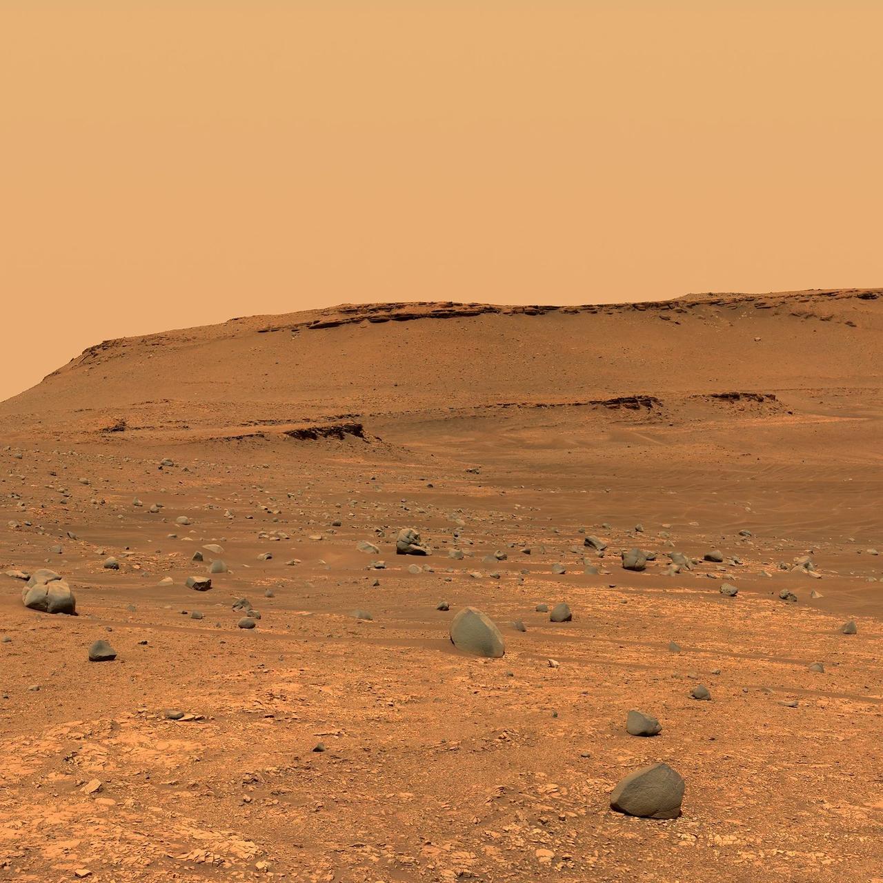 火星上到底有什么令马斯克这么痴迷向往？不都是石头吗