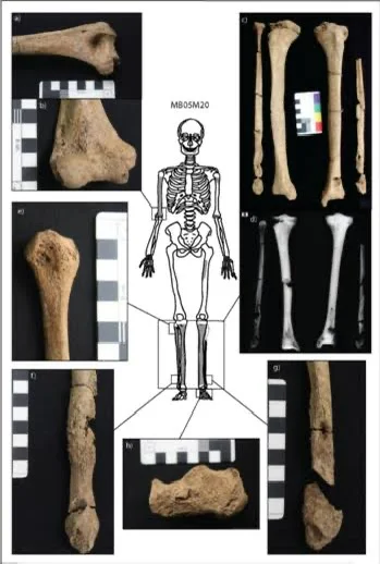 新石器时代，又称石器时代，是公元前 10,000 年至 2200 年之...