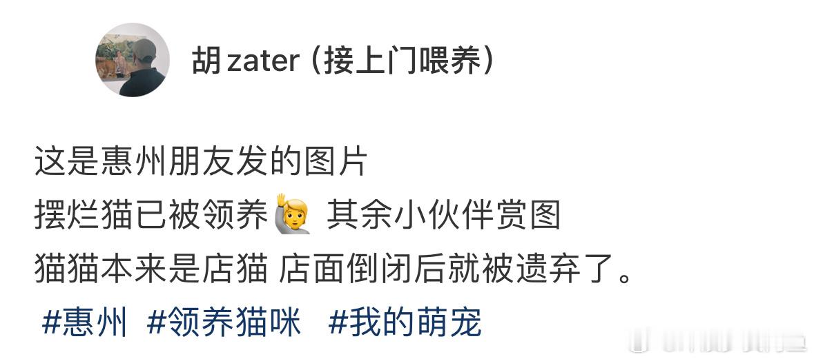 半路遇到一只演我精神状态的小猫#龙年造梗大赛##本命年许愿池# ​​​