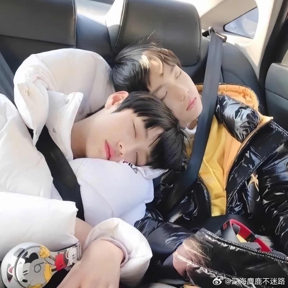宝着一猫一狗 也是一对老给给私信有额度的宝宝在评论区留言评论精选 仅提供给有需要