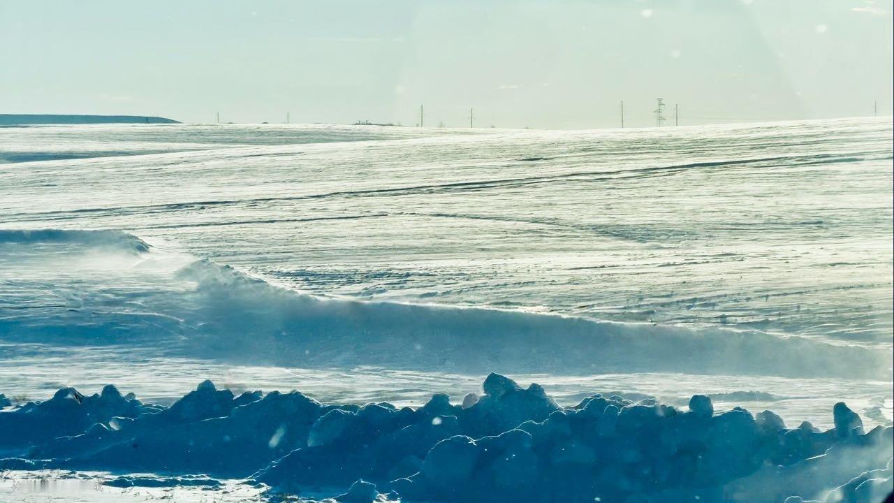 阳光撒在雪原上仿佛海面一样🌊 