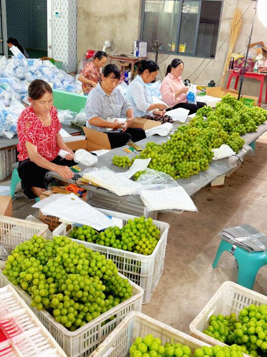 新品上架第一天就爆单，这是积累起来的信任！