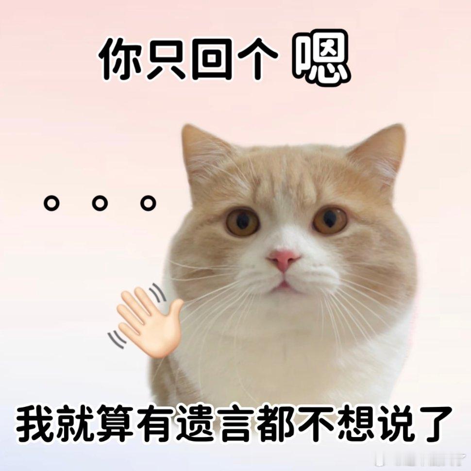 专治不回消息表情包。 