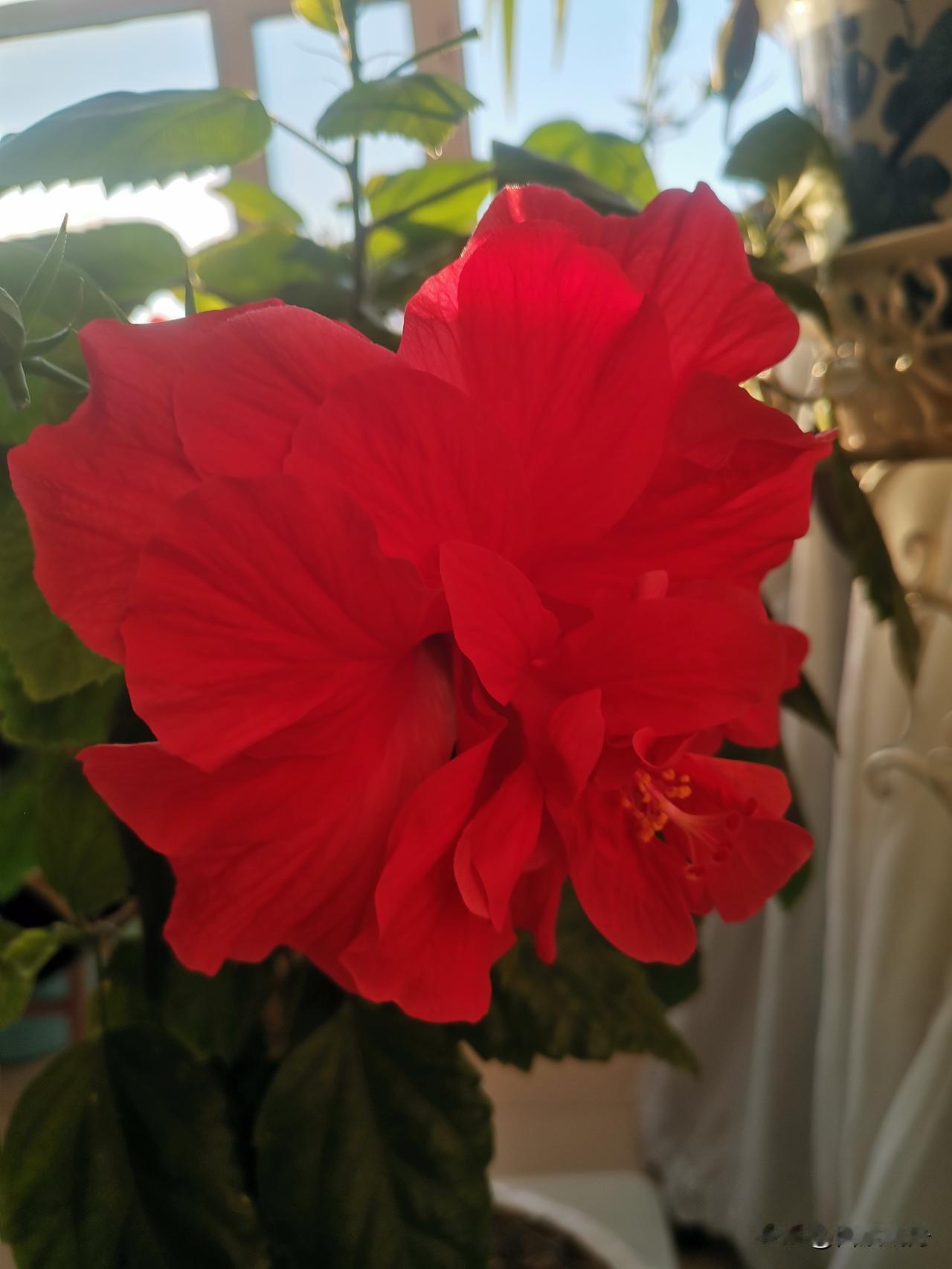 2026必学！把日子过“瘦”，才是顶级本事！
 
以前总觉得“越多越好”：家里堆