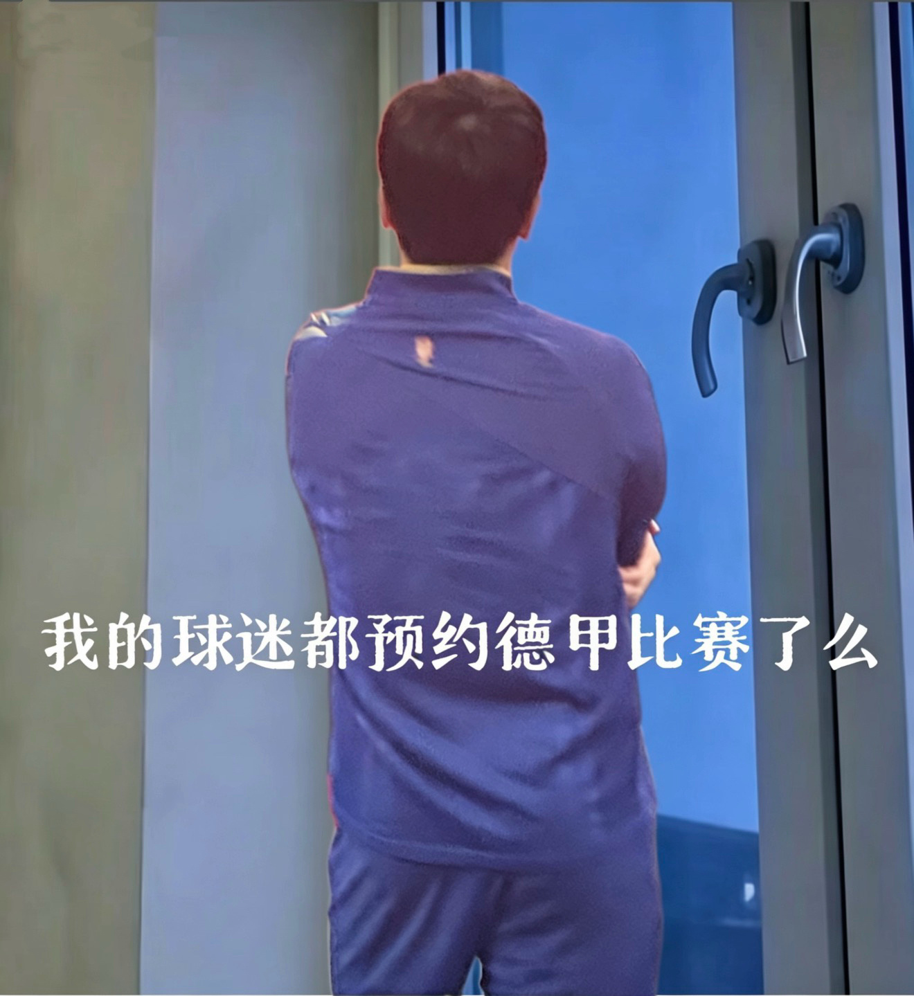 珍咚：宝宝们都预约了吗？樊振东