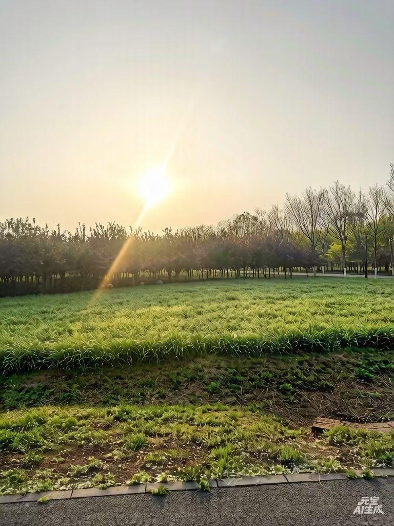 。也就半个多小时，天又亮了，风停雨歇，空气一下子清爽了，这天气变得也太快了！