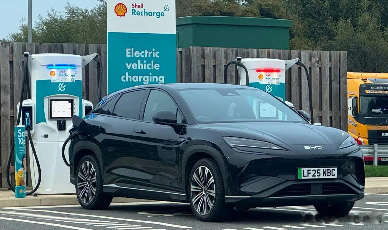比亚迪海狮07EV，7月出口14000辆！
海狮07EV，今年累计出口65379