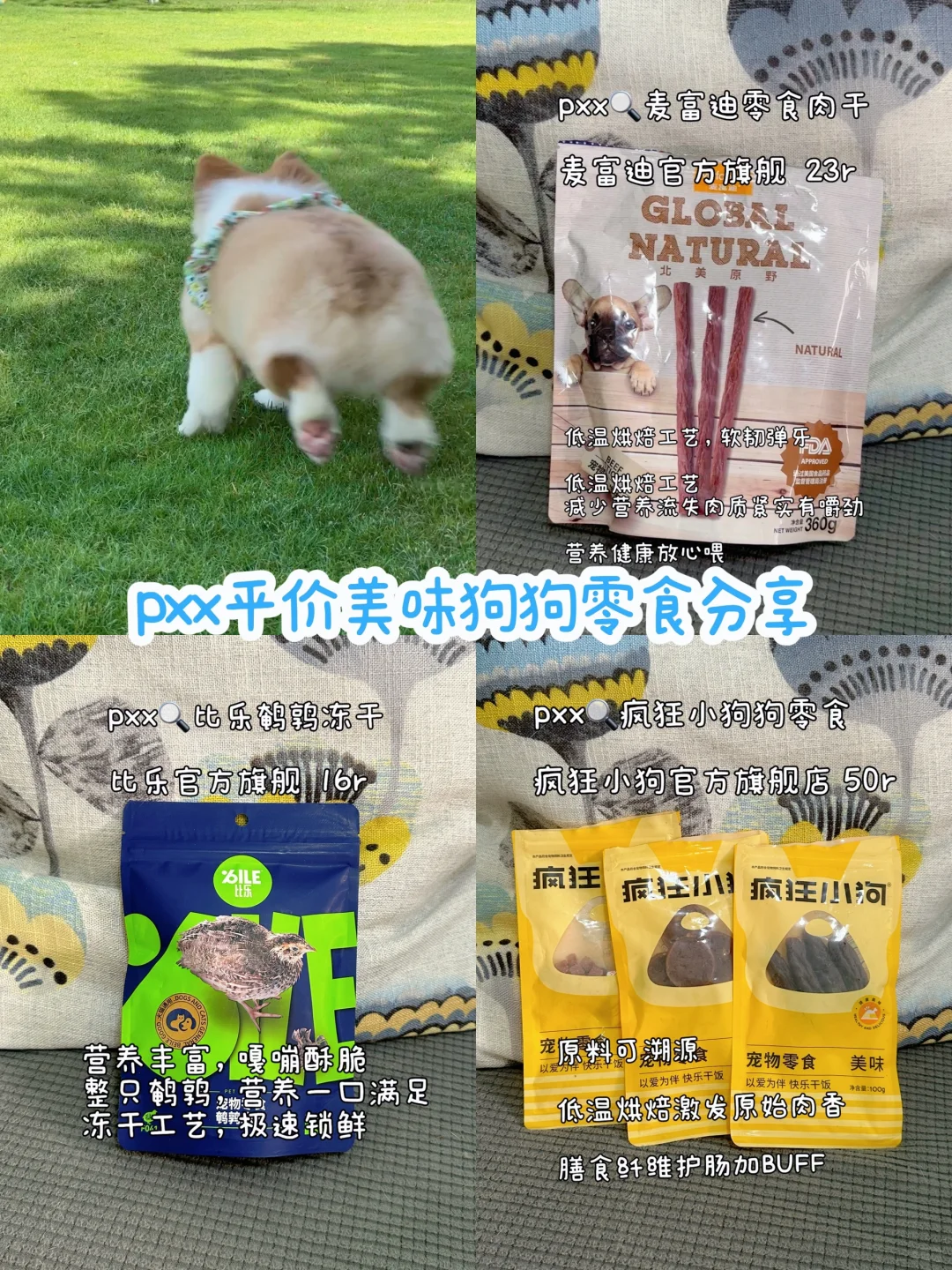 狗狗平价美味零食分享
