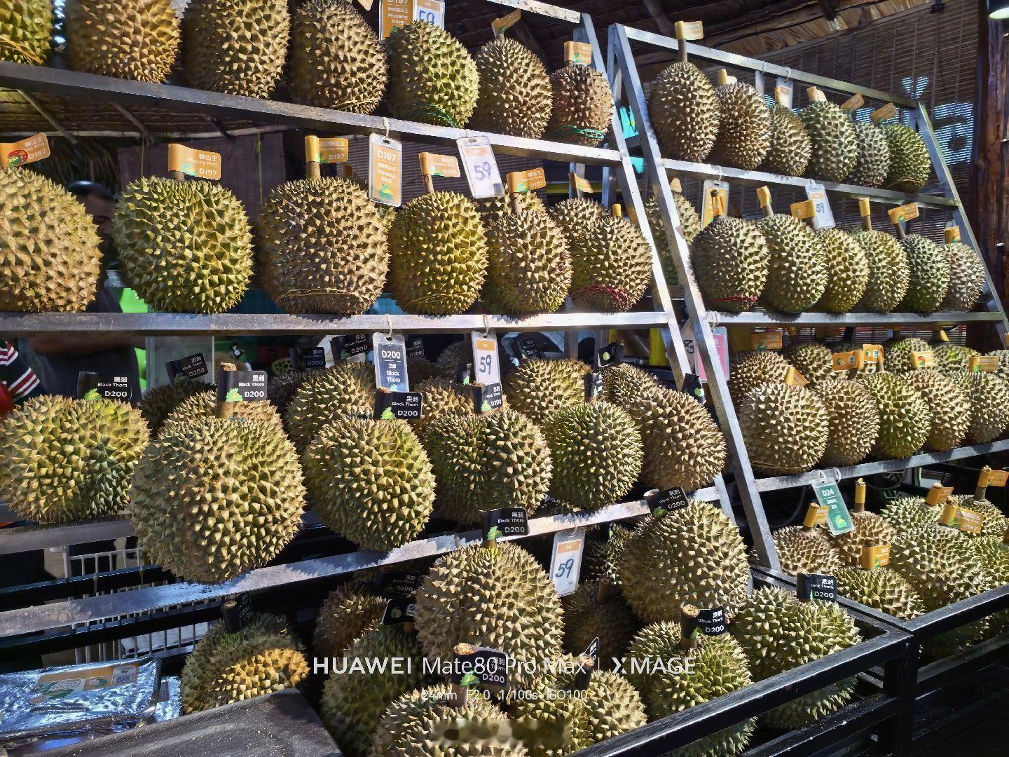 今晚是榴莲之夜