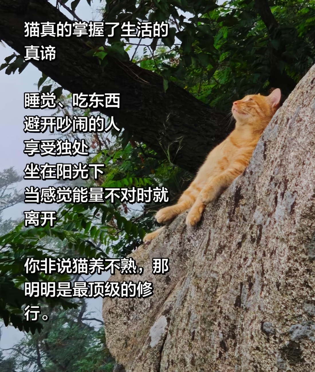 好像有点道理