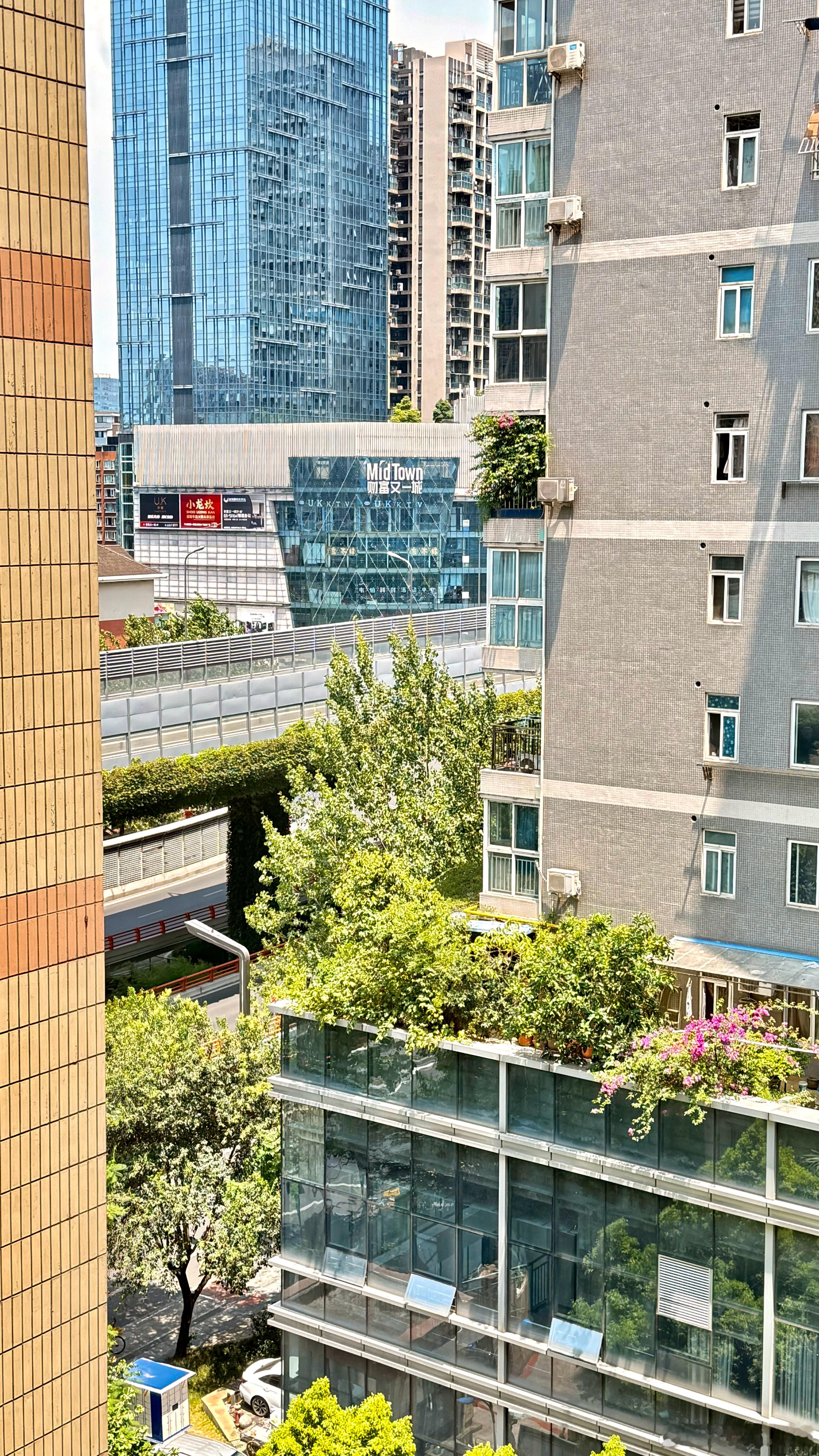 CV魏长歌 咱就是说明天再不降温我真的要化开了🔥仔细想想我挑了个成都最热的时候
