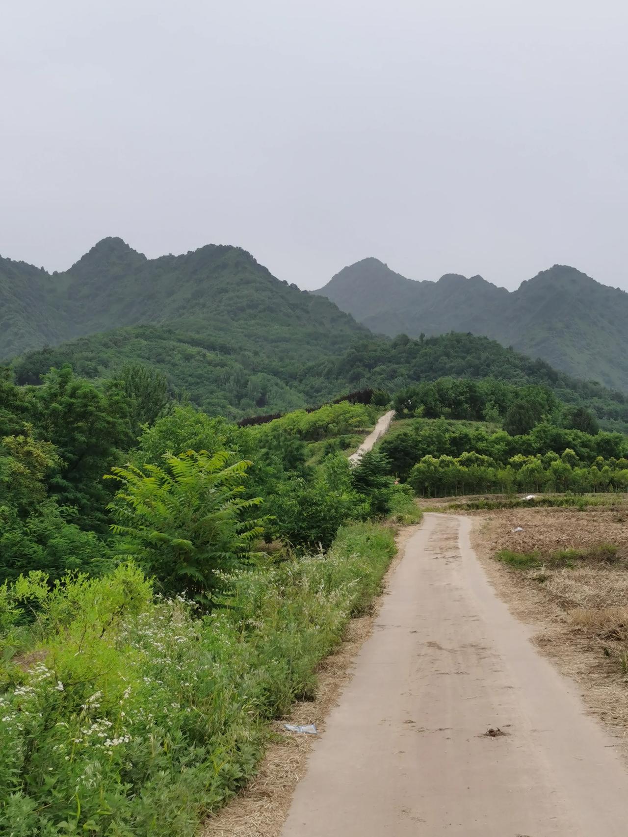 真搞不清，现在的女娃根本就不在大城市工作，却非要到大城市买房。
我有个小同事，与