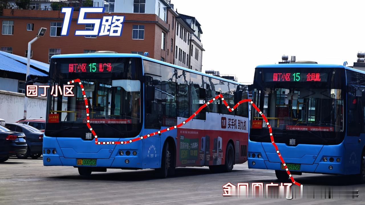 大理网民向市委书记留言投诉：关于大理某路公交运营及服务的问题

✅尊敬的领导：