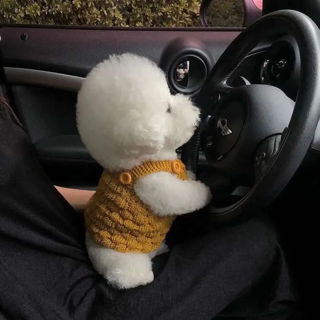 叫到一辆车，司机是只小狗，我现在正在观察他是如何踩刹车和油门的 ​​​