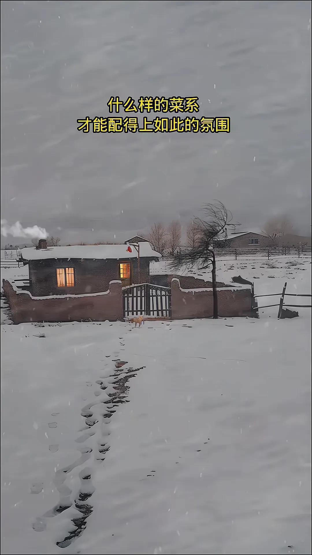 外边下着雪，屋里烧着火炕，这样的天气适合干什么？什么样的菜系才能配得上如此的氛围