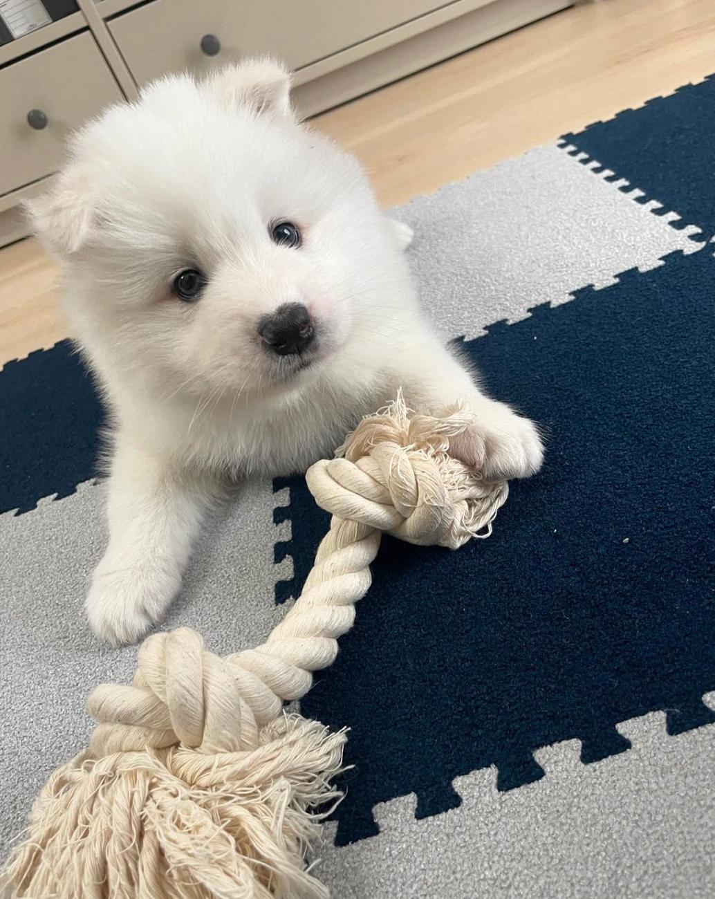 如果你感到无聊，我可以陪你玩 