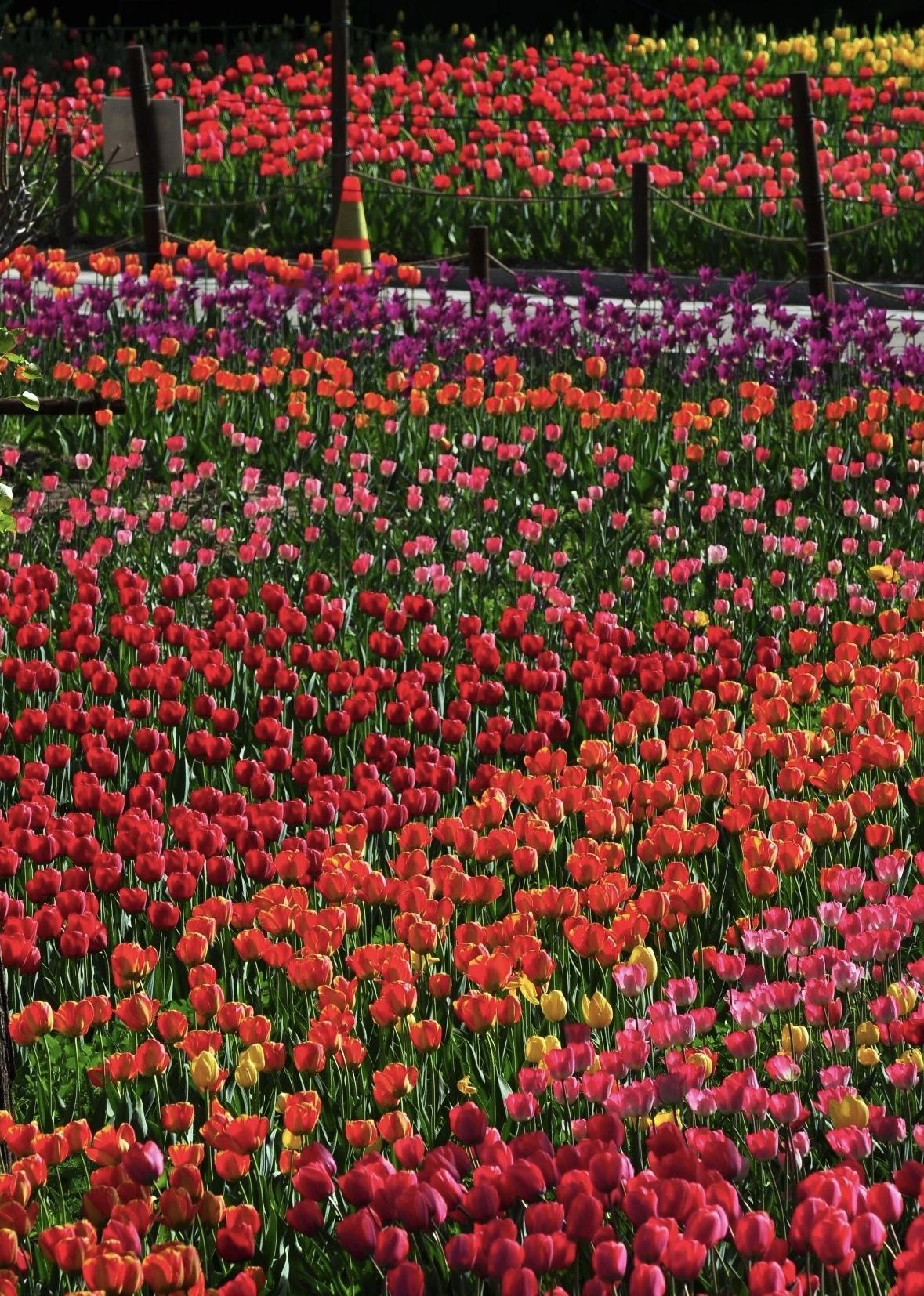 【时间终会为我们筛选出生命的答案，在细水长流的日子里，我们不言永远，只言珍惜】