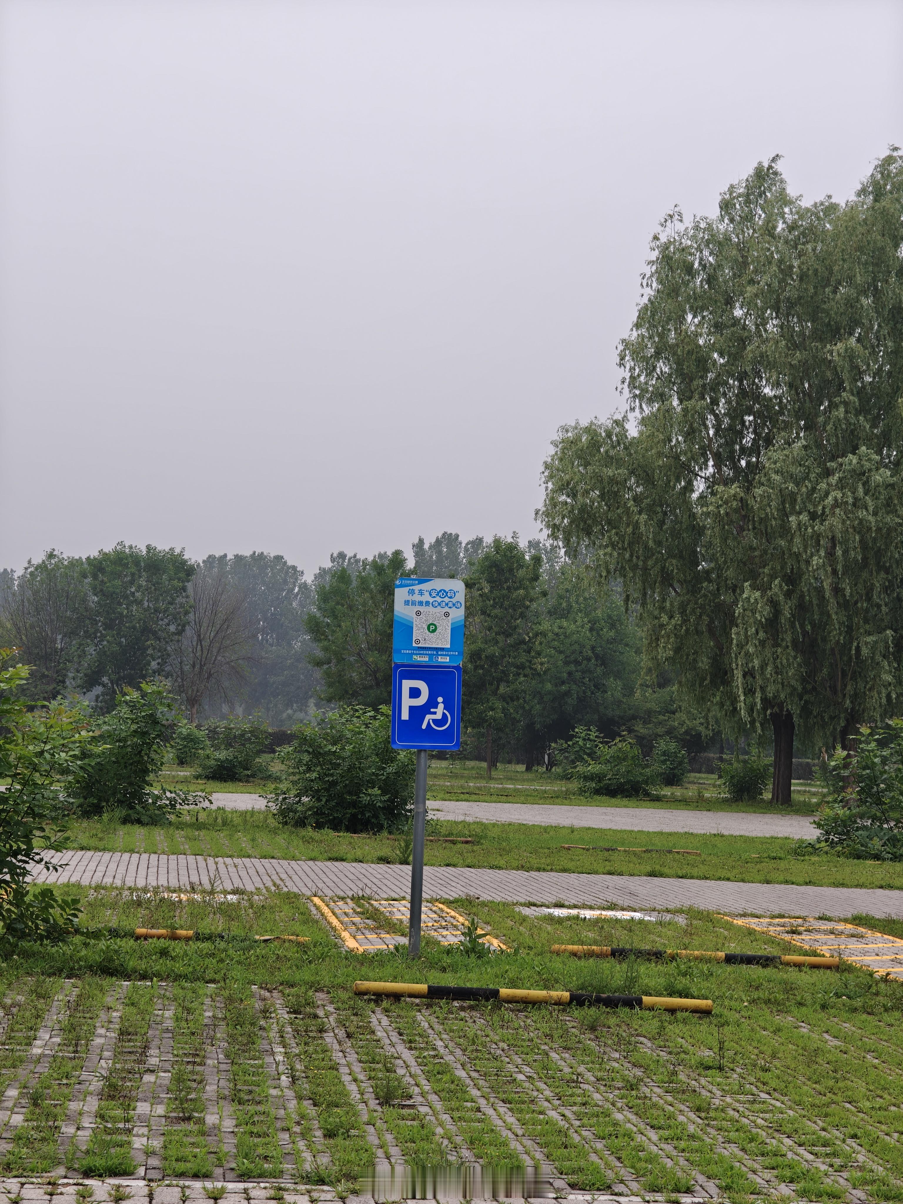 残疾人车位，懂？汽场全开我与汽车的日常大v聊车