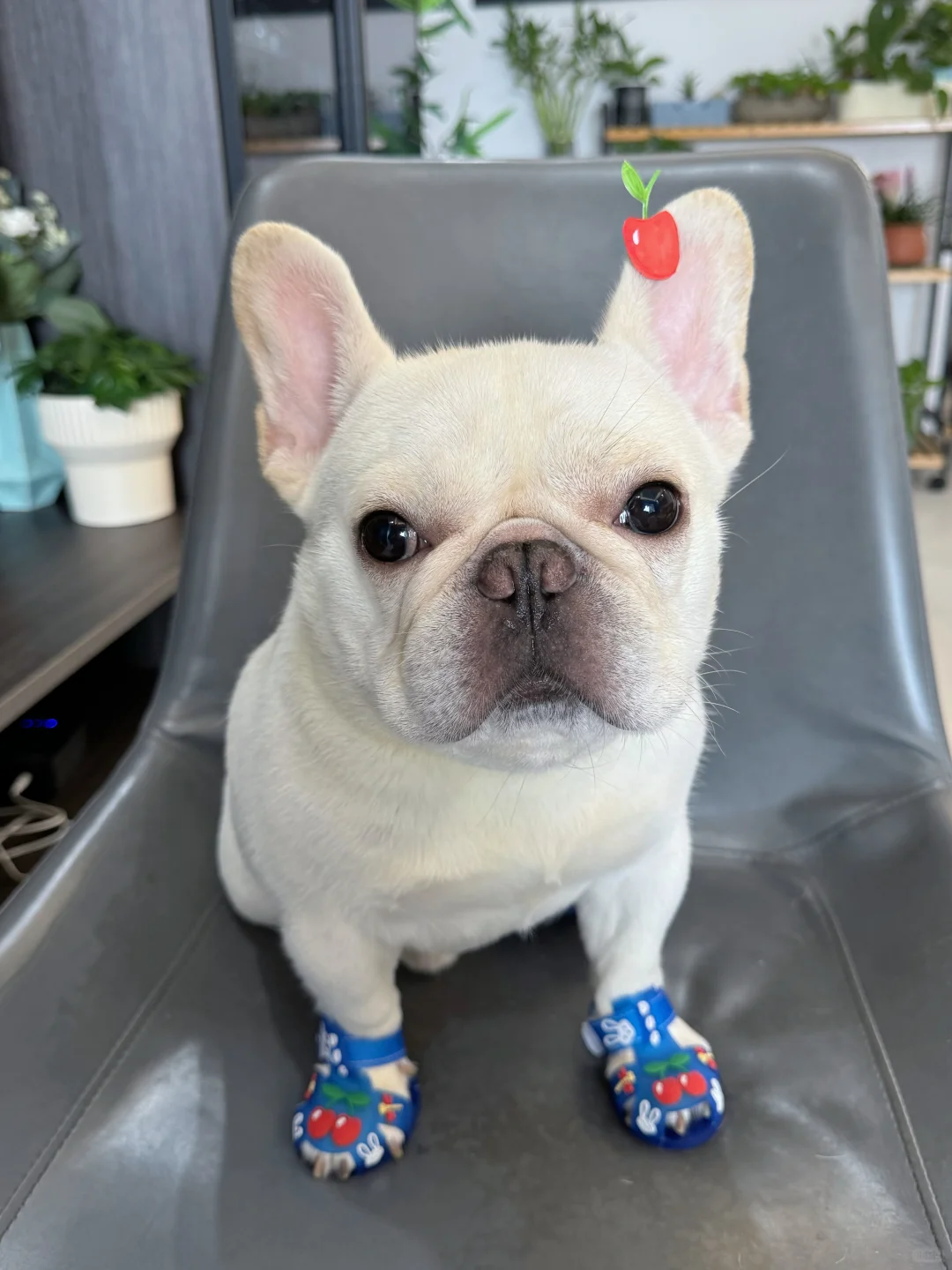 我也有小狗凉鞋啦！你们觉得蓝色显白吗？