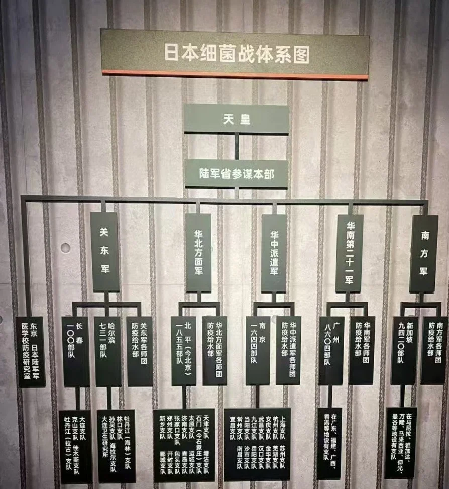 日本的细菌战不止731部队，还有很多