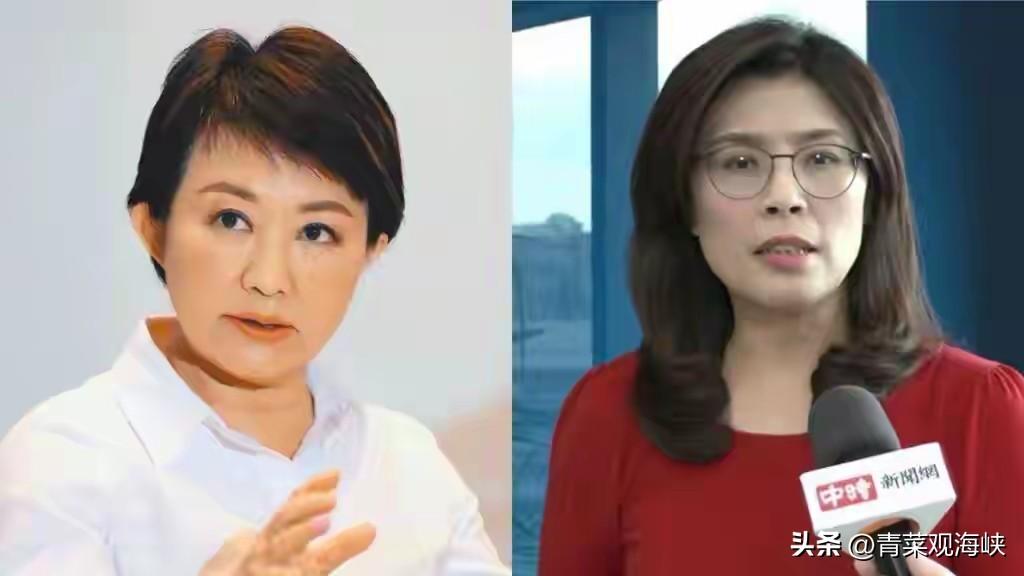 卢秀燕访美前放话：别让美国觉得国民党太亲近大陆

3月中旬，卢秀燕要去美国“沟通