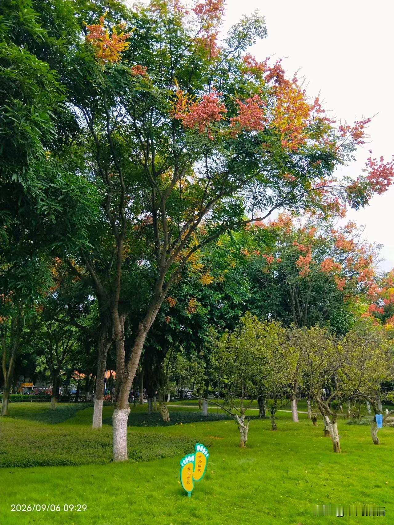 中医建议：秋天少吃破阳食物，越吃气血越虚
 
秋天阳气开始收敛内藏，人体要把阳气