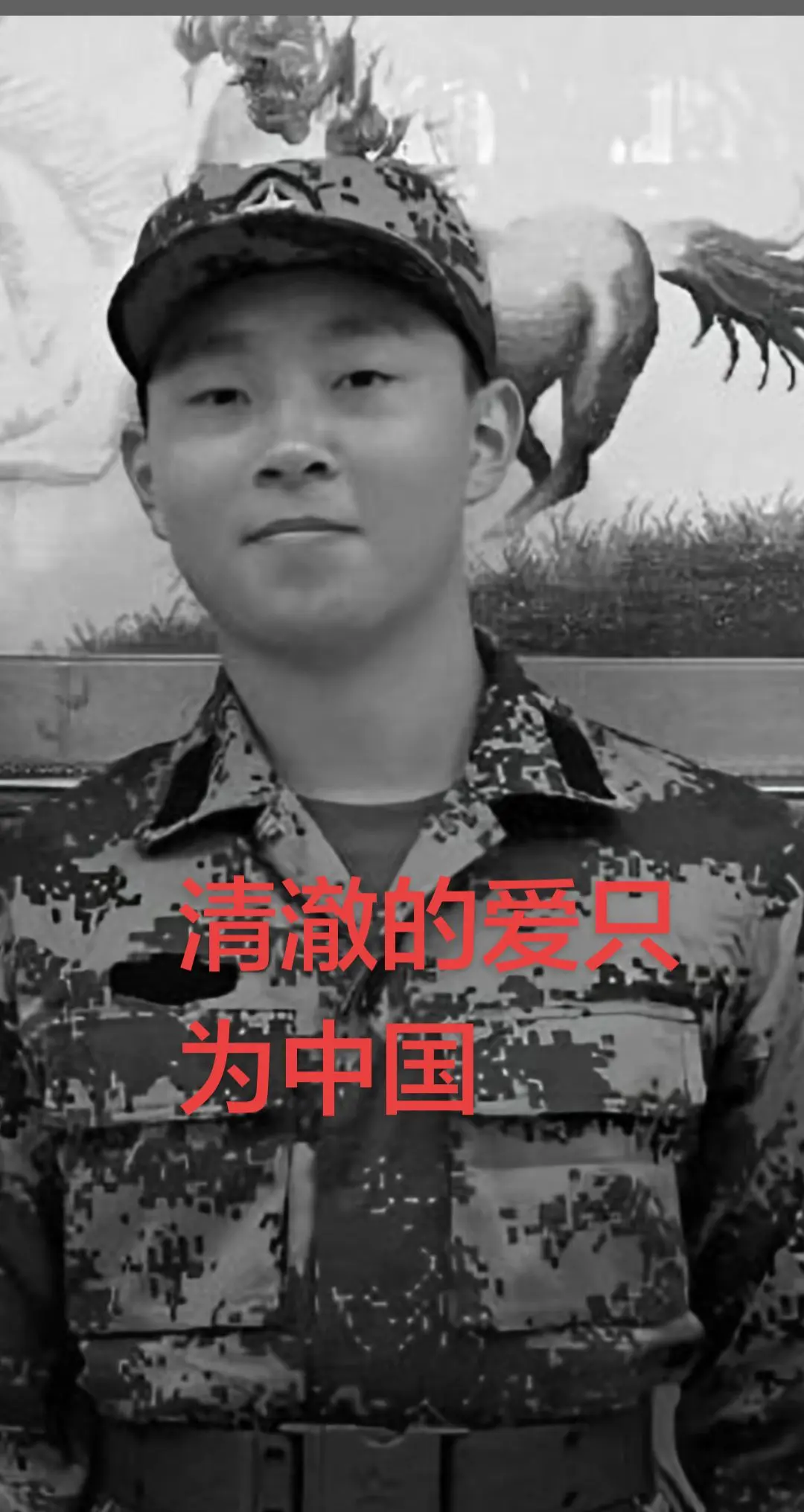 向戍边英雄致敬清澈的爱只为中国 向英雄致敬 支持传播正能量