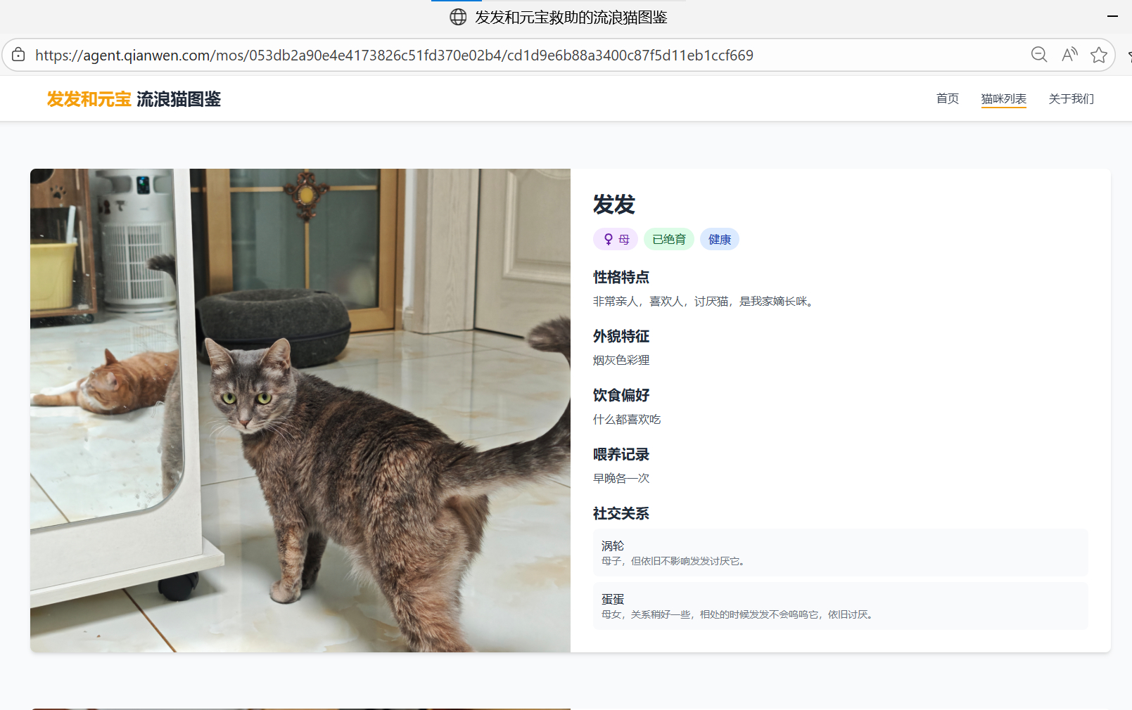 “云养猫”成真了！真的有被暖到——南航的同学们依然在“为爱发电”，但这次有了不一