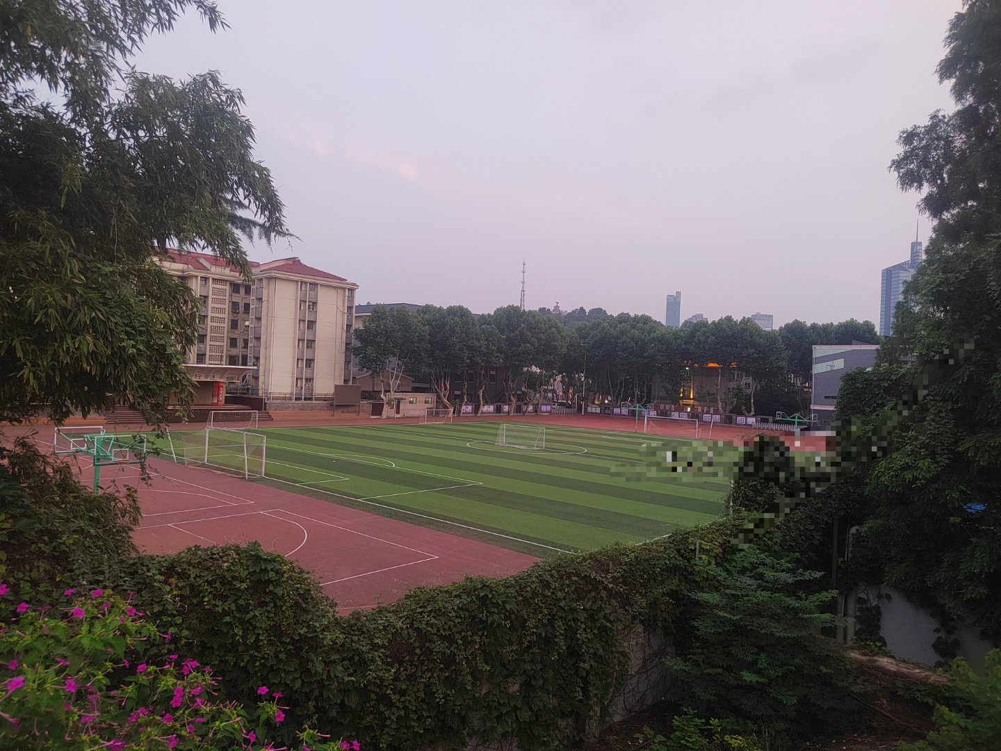 饭后散步随手拍几张儿子的学校 