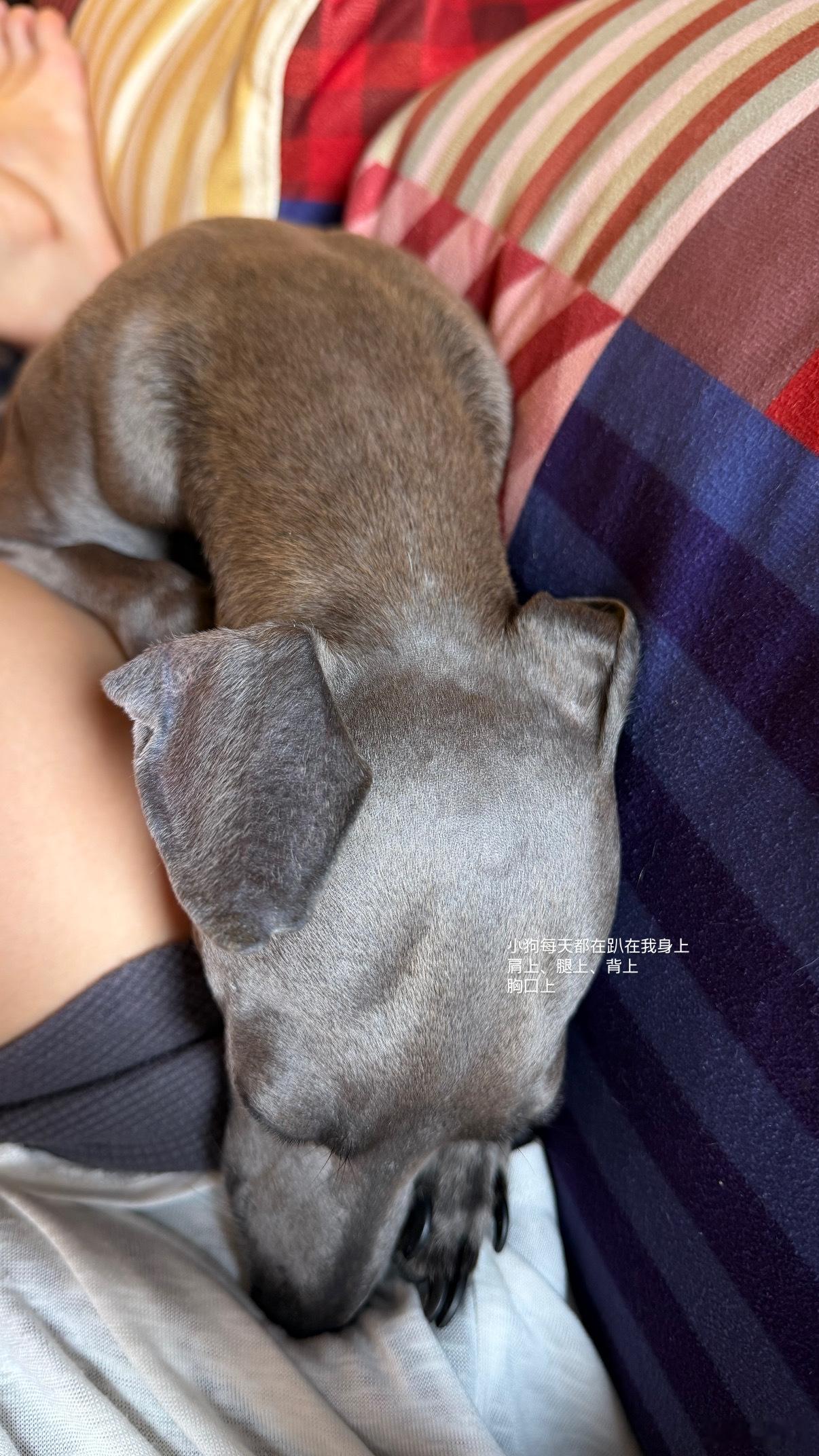 零零散散的注脚。 ​​​