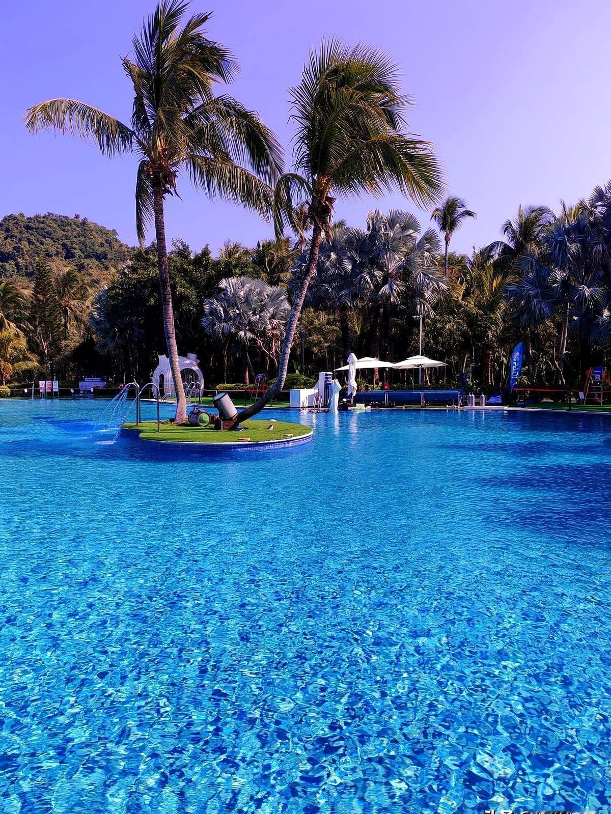 文章标题：有人能在游池里待一个

文章内容：文章核心内容分析

“有人能在游池里