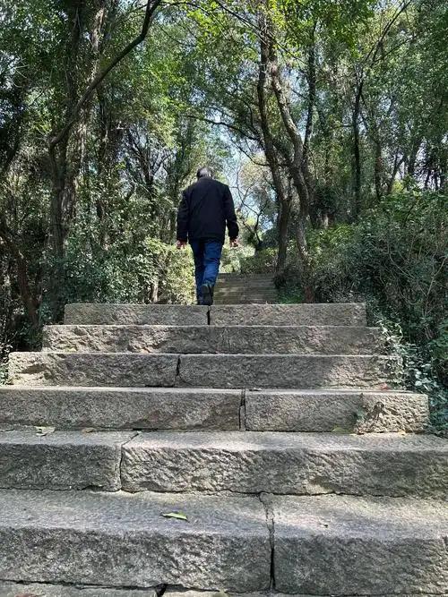 今天，突然被这段话共情了：
“人一旦真的开始老了，
不是从白发和皱纹开始的。
是