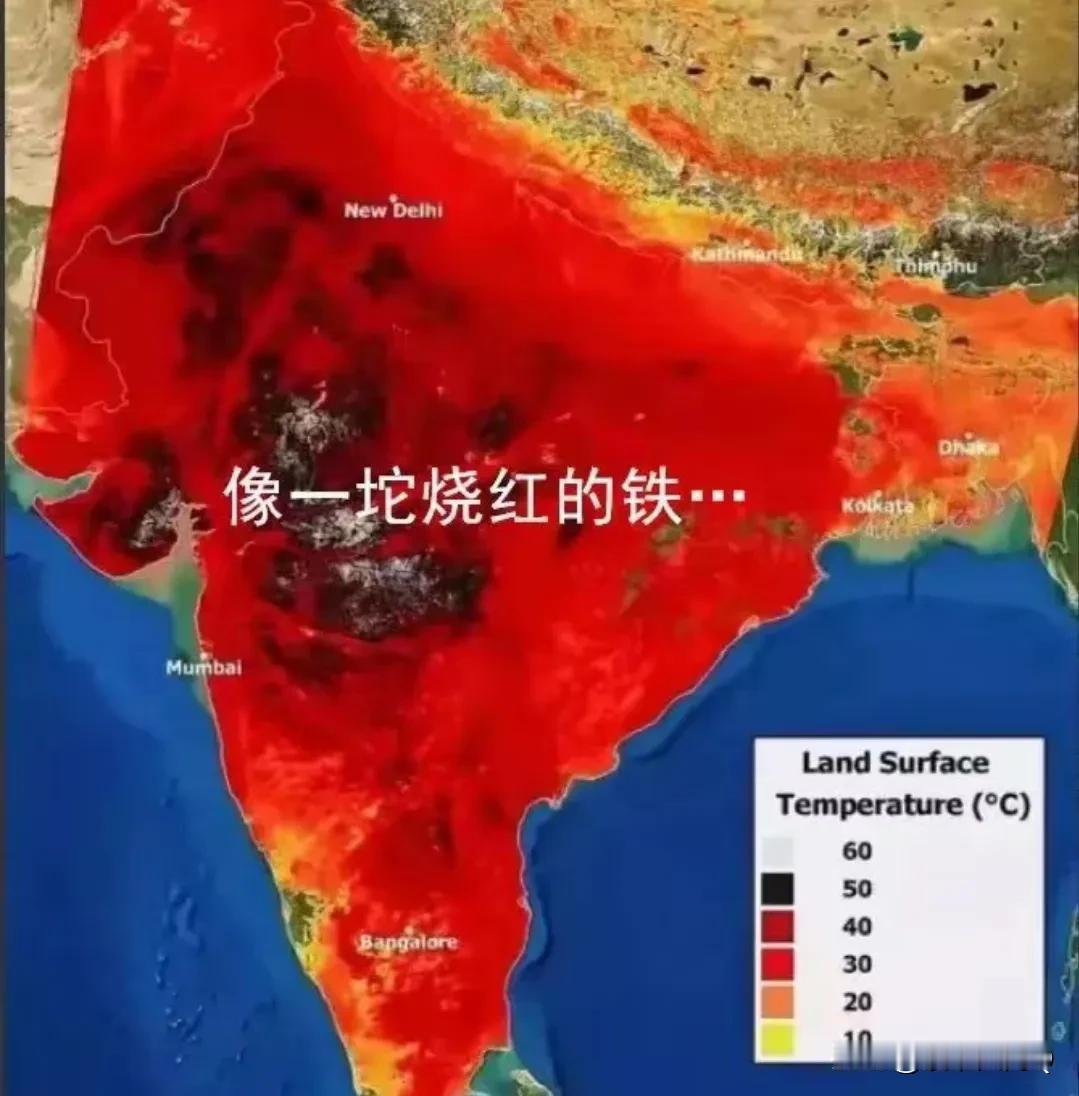 印度高温快40多度!印度完了!永远超不过我们 ，印度人每天死多少人!这是某些人的