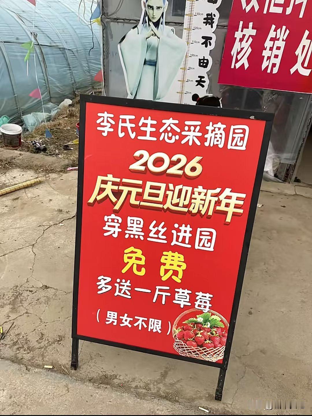 这采摘园的老板也是人才，穿黑丝进去不要钱，还送一斤草莓🍓