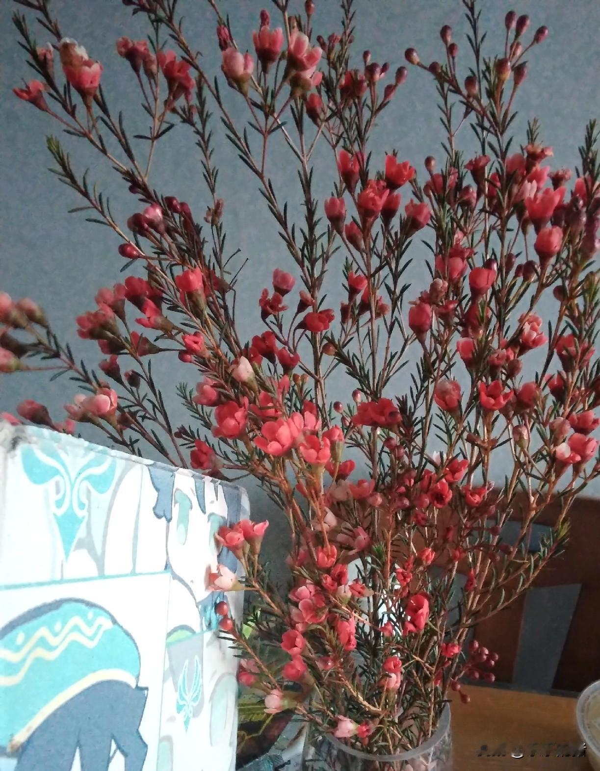 一年360天我二大姑姐得在我们这过340天，而且还时不时找事，回去了没有半天又回